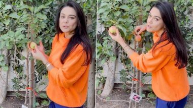Preity Zinta Gives a Glimpse Of Her Ghar Ki Kheti in Los Angeles And Talks About Her Indian Roots, Says 'Few Things Reminds Me Of My Himachal Home' (Watch Video)
