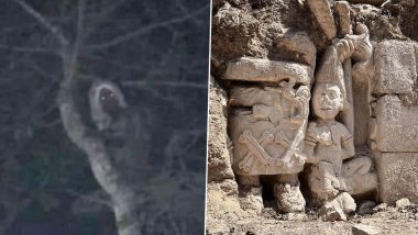 Mexico President Andrés Manuel López Obrador Shares Photo of What He Claims Is Mythological Woodland Spirit Elf, Says 'It Appears To Be Aluxe'