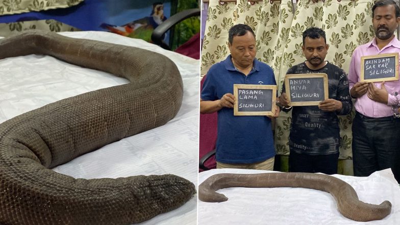 Red Sand Boa Snake Rescued From Darjeeling Forest Area, Four Held (See Pics)