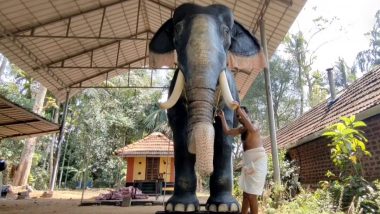 Kerala: IIrinjadappilly Sri Krishna Temple Replaces Elephant With 800 kg Robot for Rituals (See Pics)