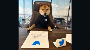 Elon Musk ‘Hires’ His Dog ‘Floki’ As New Twitter CEO