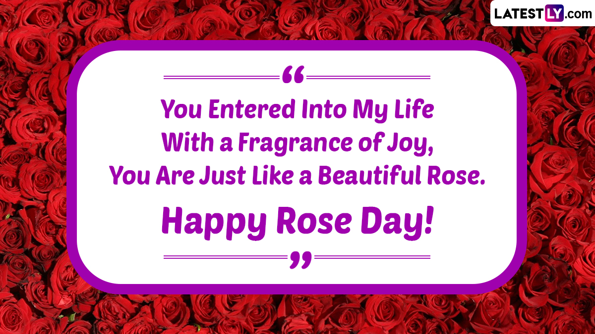 Rose Day 2023 Quotes and Romantic Messages: Share Sweet Greetings ...
