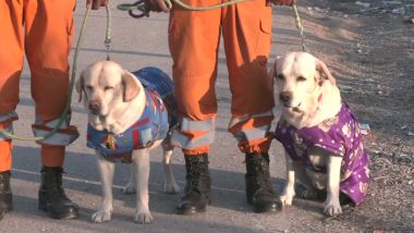 Earthquake in Turkey: Julie and Romeo, Sniffer Dogs of NDRF, Rescue Six-Year-Old Girl Trapped Under Debris in Nurdagi (See Pics)