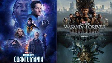 Shortcuts Were Taken on Ant-Man and the Wasp Quantumania's VFX, Team Was Understaffed With Majority of Resources Going Towards Black Panther Wakanda Forever - Reports