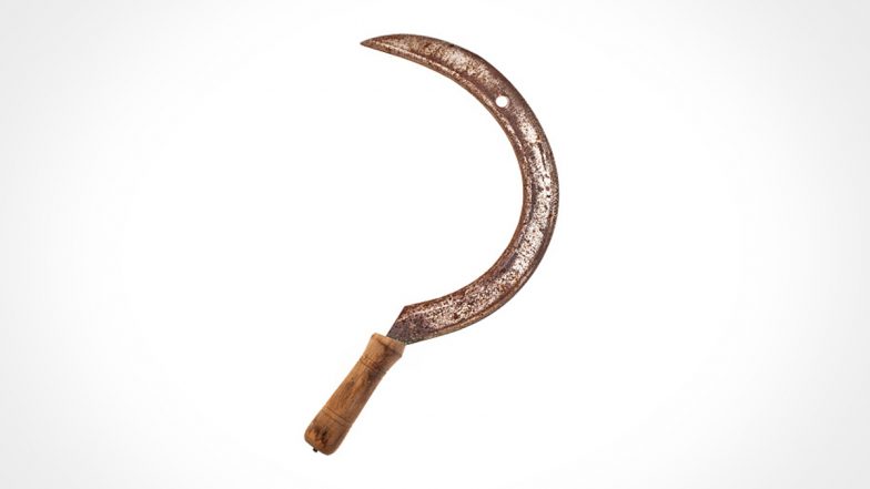 Honour Killing in Uttar Pradesh: Man Slits Niece’s Throat With Sickle for Marrying Out of Caste in Sitapur, Surrenders Before Police