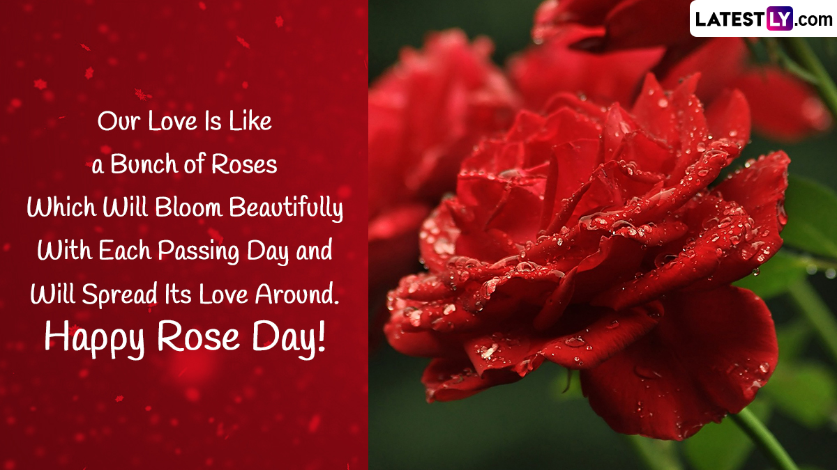 Rose Day 2023 Romantic Messages & GIF Images: WhatsApp Greetings ...