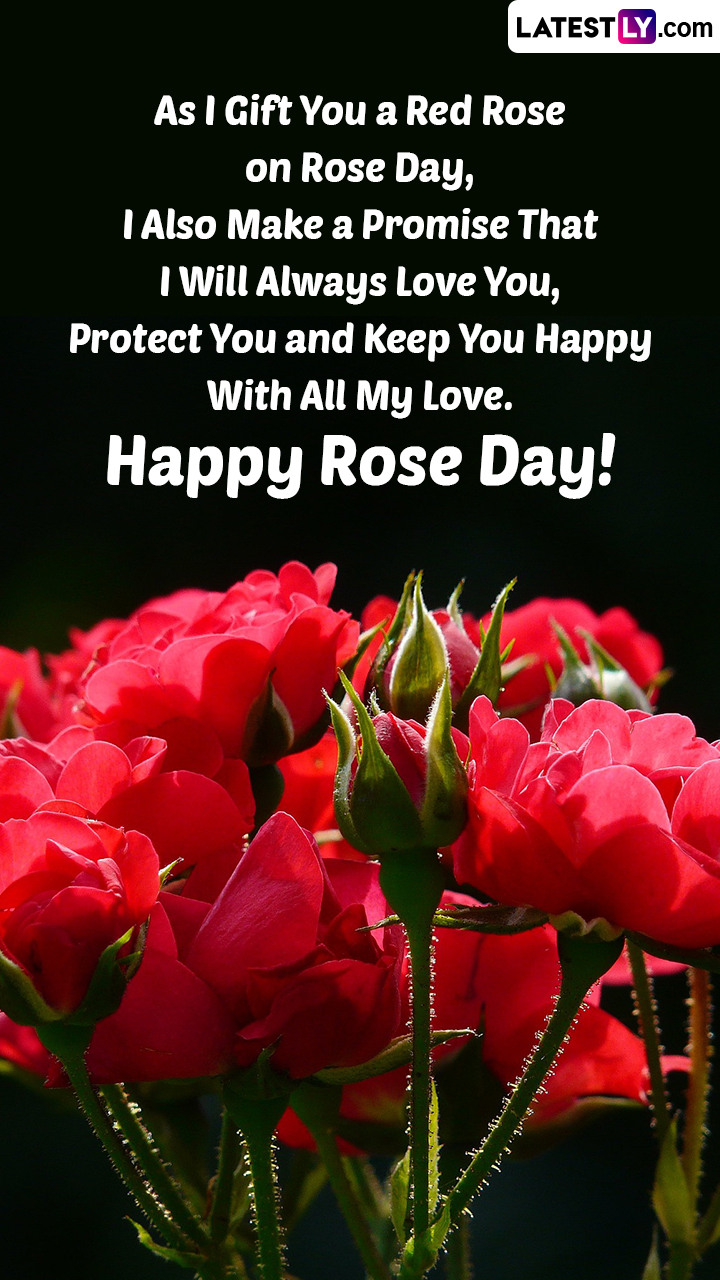 Hand drawn greetings style happy rose day poster - Pngfreepic