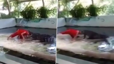 Crocodile Tries To Bite Zookeeper’s Head Off During Live Performance, Old Video Goes Viral Again