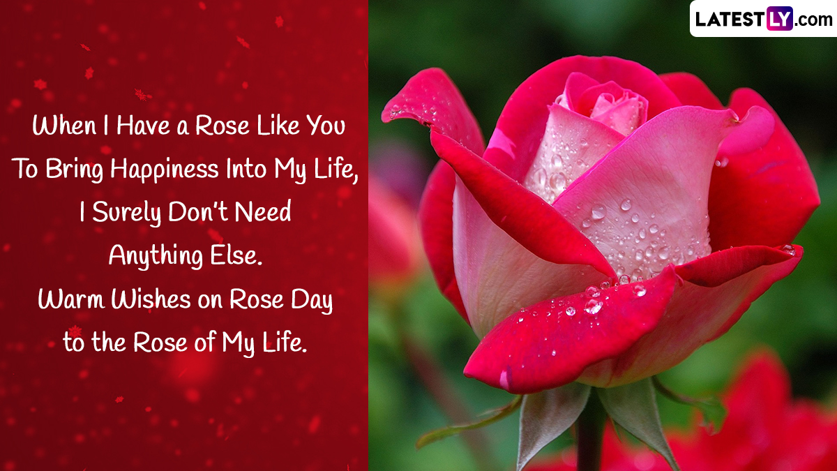 Happy Rose Day 2023 Sexy & Romantic Greetings: Send Hot Messages, GIF ...