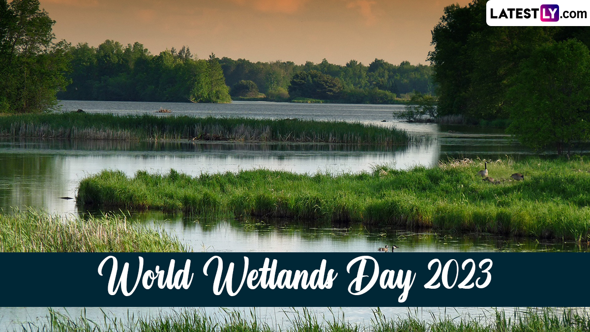 Festivals Events News World Wetlands Day 2023 Date Know Theme   5 World Wetlands Day 2023 