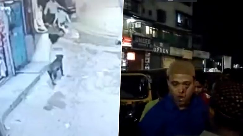 Stray Dog Menace in Mumbra: Canine Attacks 35 People in Single Day, Caught Biting Child in CCTV Footage (Watch Video)