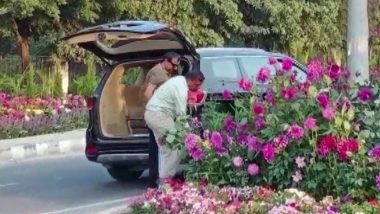 Gurugram: Duo in Luxury Car Caught Stealing Flower Pots Arranged for G20 Summit, GMDA CEO Assures Strict Action (See Pics and Video)