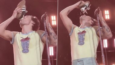 Harry Styles Drinks Beer Out of a Sneaker at His Perth Concert and Guess What? That's an Aussie Tradition! (Watch Video)
