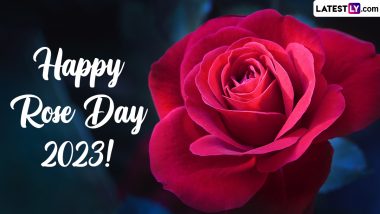Rose Day 2023 Romantic Messages & GIF Images: WhatsApp Greetings, Wishes, Quotes About Love and Beautiful Rose HD Wallpapers To Share With Your Partner