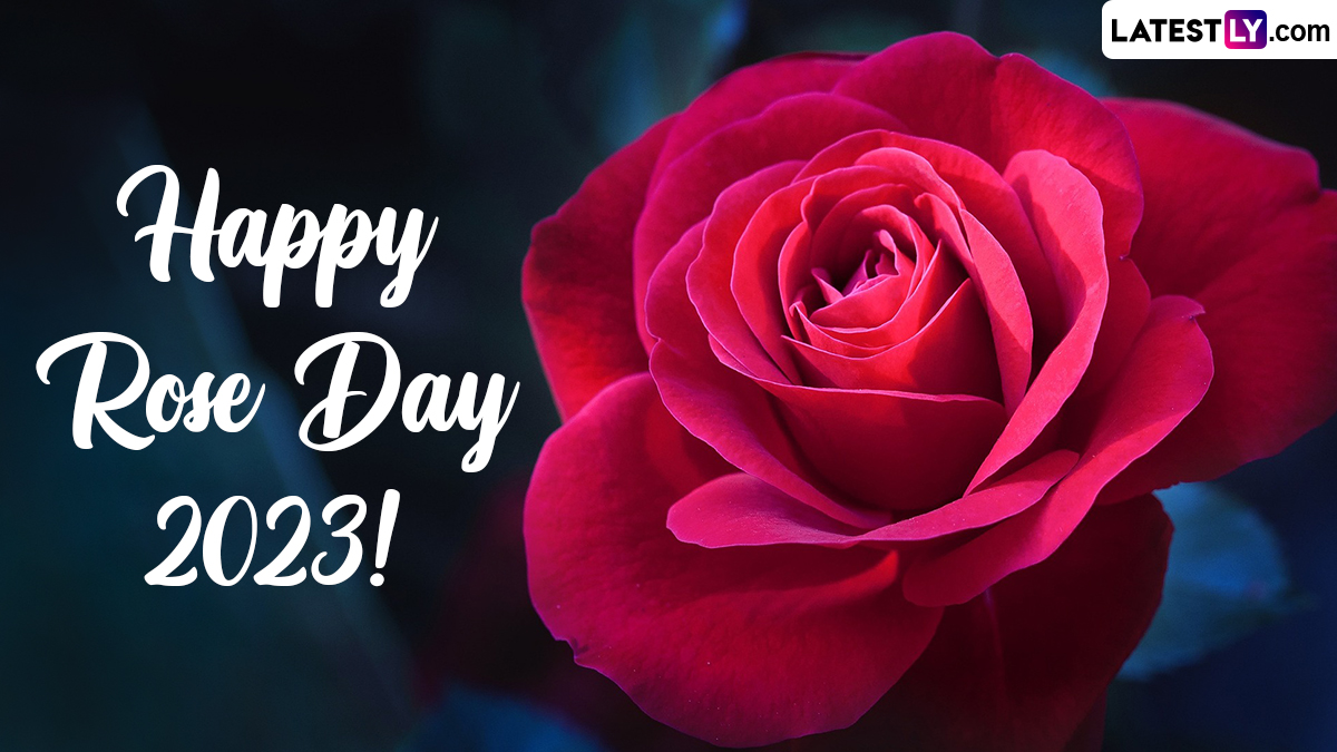 Rose Day 2023 Romantic Messages & GIF Images: WhatsApp Greetings ...