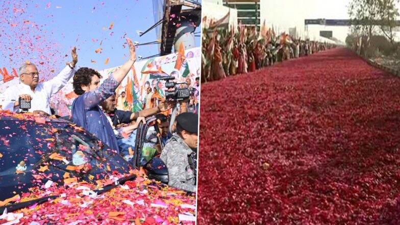 Street Paved with Flower Petals to Welcome Priyanka Gandhi in Chhattisgarh's Raipur