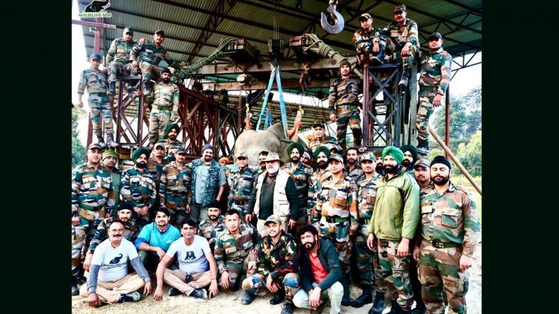 ‘Operation Moti’: Indian Army Rescues 35-Year-Old Injured Elephant With Help of NGO in Uttarakhand, Pics Surface