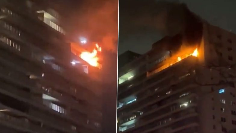 Bronx Fire: One Dead, Multiple Injured After Blaze Erupts At Apartment Building in New York (Watch Video)