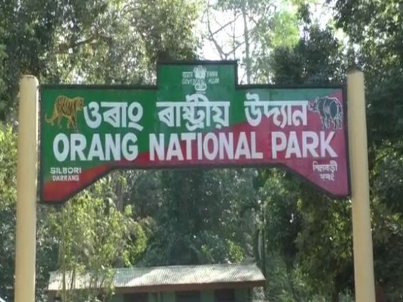 India News | Royal Bengal Tiger Found Dead in Assam's Orang National Park - Vimarsana News