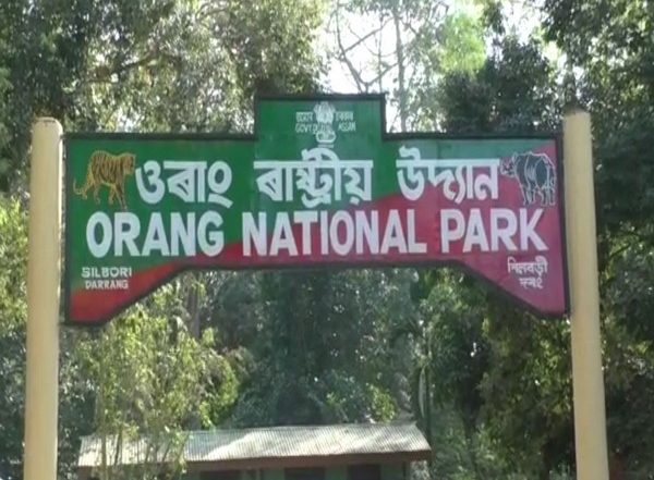 India News | Royal Bengal Tiger Found Dead in Assam's Orang National Park
