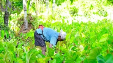 Business News | Govt Focuses on Empowering Farmers