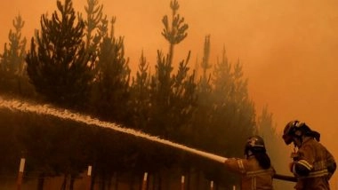 World News | 22 Killed in Chile Wildfires, Say Officials