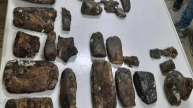 India News | Ambergris Worth Rs 91 Crore Seized in Guwahati