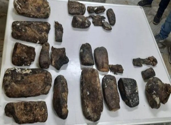 India News | Ambergris Worth Rs 91 Crore Seized in Guwahati