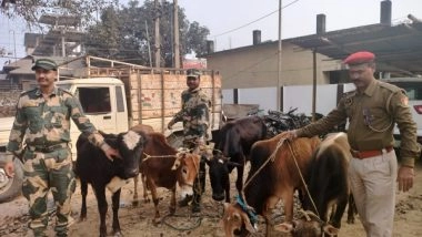 India News | 5 Cattle Rescued from Smugglers at India-Bangla Border in Assam