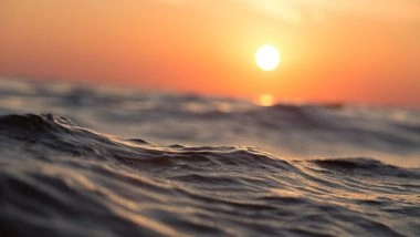 Science News | Here's Why Microbes in the Deep Ocean Live Without Sunlight