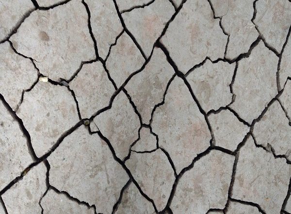 Science News | Scientists Detect Molten Rock Layer Hidden Under Earth's Tectonic Plates