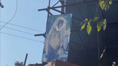 Monkey Menace in Uttar Pradesh: Langur Posters, Fire Sound Sensor Machines Installed to Drive Away Monkeys in Moradabad