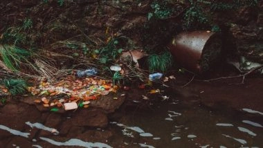 Science News | Check out How Artificial Sweetener Becomes Wastewater Tracer