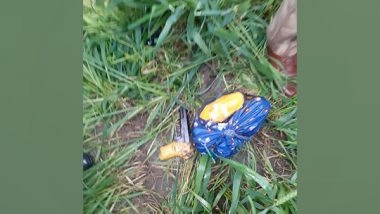 India News |  Punjab: BSF Shot Down Drone Attempting Intrusion into Indian Territory from Pak Side