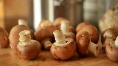 Lifestyle News | Study Identifies Active Compound in Mushroom Which Can Boost Nerve Growth