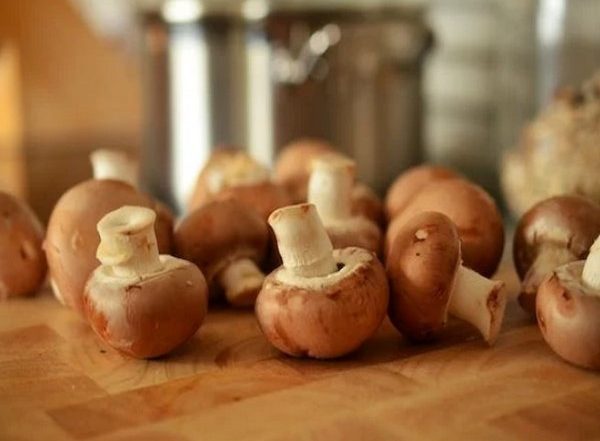 Lifestyle News | Study Identifies Active Compound in Mushroom Which Can Boost Nerve Growth