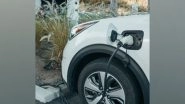 Business News | 60 Pc Consumers in APAC, Including India, Will Prefer Hybrid EVs in Future: Study