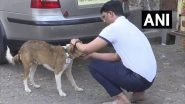 Mumbai Man Akshay Ridlan Develops Tags With QR Code To Keep Track of Stray Dogs