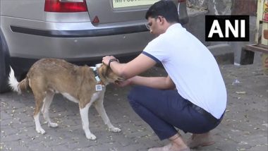 Mumbai Man Akshay Ridlan Develops Tags With QR Code To Keep Track of Stray Dogs