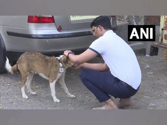 Akshay Ridlan Develops Tags With QR Code To Keep Track of Stray Dogs