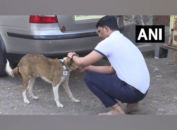 Mumbai Man Akshay Ridlan Develops Tags With QR Code To Keep Track of Stray Dogs