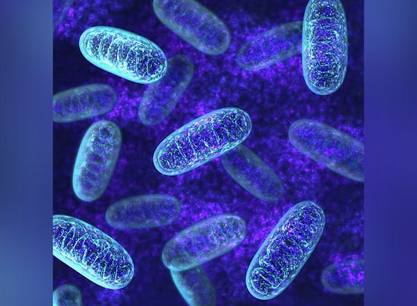 Science News | Resistant Bacteria Can Be Killed by Newly Discovered Virus: Study