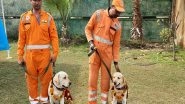 India News | NDRF Team, Dog Squad Members Rambo and Honey Return to India After 10-day Rescue Operation in Quake-hit Turkey