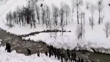 Indian Army, Jammu and Kashmir Police Rescue Man Buried Under Avalanche in Kupwara