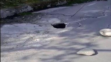 India News | Cracks Have Appeared on Stretch of Road on Badrinath Highway: Chamoli District Magistrate