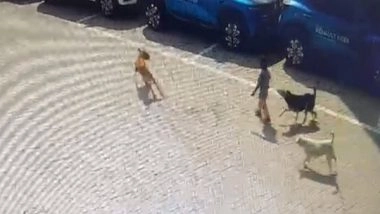 India News | Stray Dogs Maul 5-year-old Boy to Death in Hyderabad