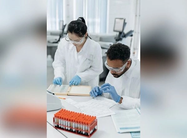 Science News | Researchers Reveal Role of Polyphenols in Regulating Inflammatory Immune Responses