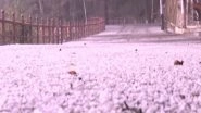 India News | Hailstorm, Lightning Lash Shimla, 121 Roads Closed in Himachal