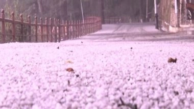 India News | Hailstorm, Lightning Lash Shimla, 121 Roads Closed in Himachal