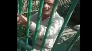 India News | UP Man Falls for Bait, Gets Himself Trapped in Leopard Cage